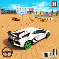 3D停车驱动器手游 1.0 安卓版