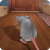 猫鼠之战猫和老鼠模拟游戏 1.3 安卓版