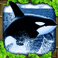 终极虎鲸模拟器 2.0.2 安卓版